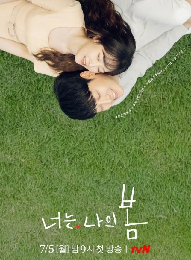파슈 이미지