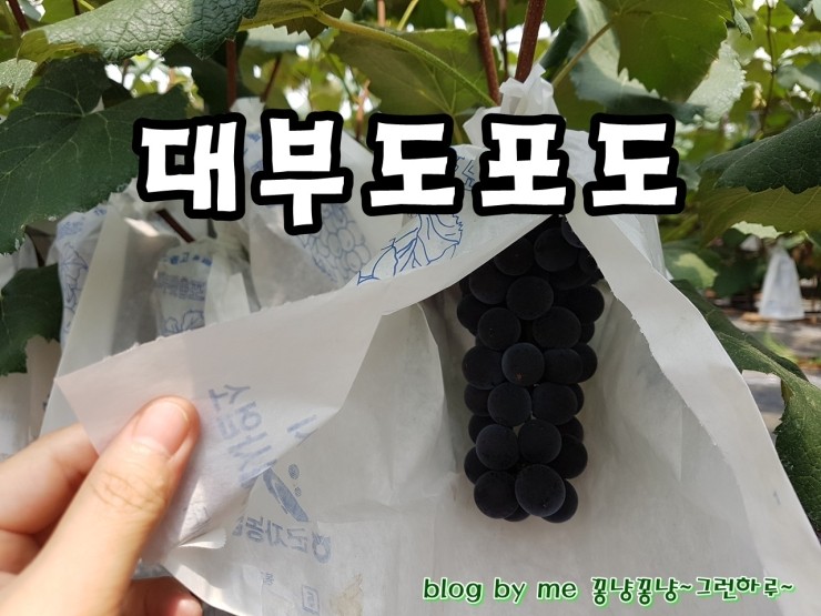 다은농원 이미지