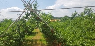 (주)천일택배 이미지