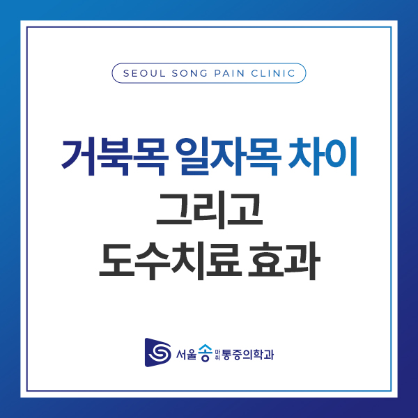 송마취통증의학과의원 이미지