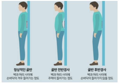 바디킹PT샵 이미지