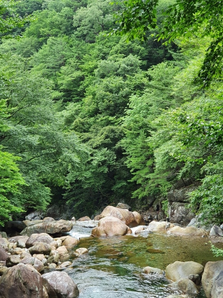 한신팬션 이미지