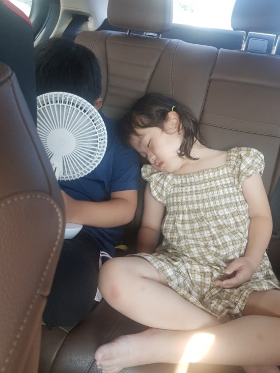 삼일농원 이미지