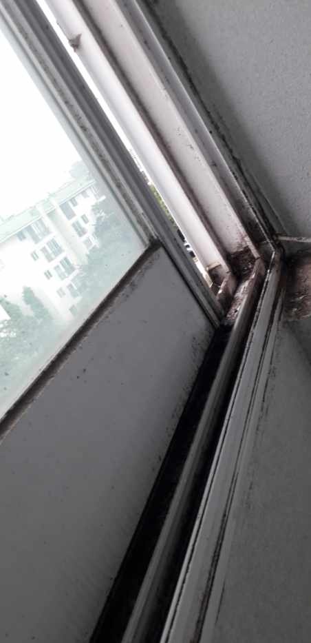 태영크린 이미지