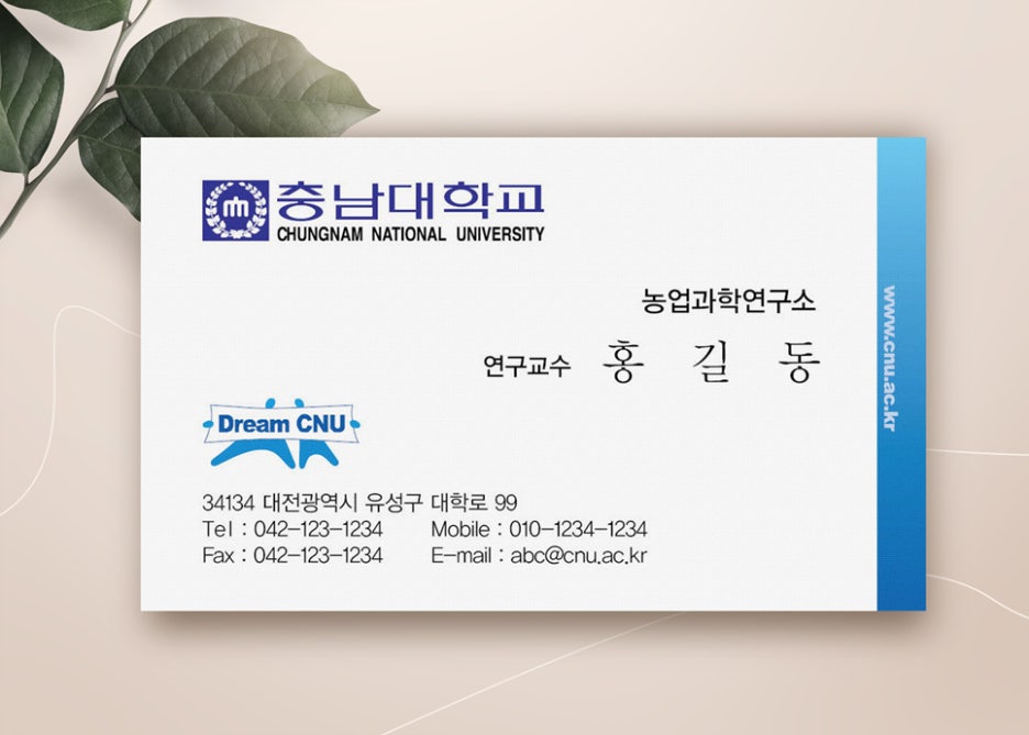오심디자인 이미지