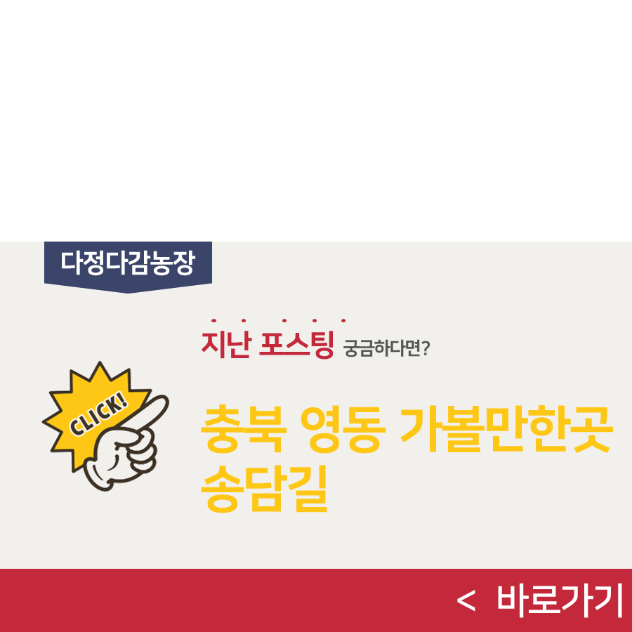 천성루 이미지