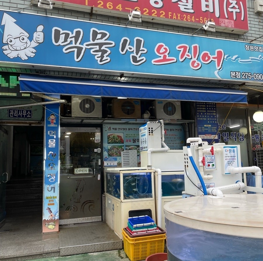 먹물산오징어 이미지