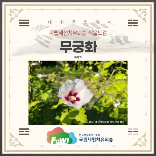 제천 치유의 숲 이미지