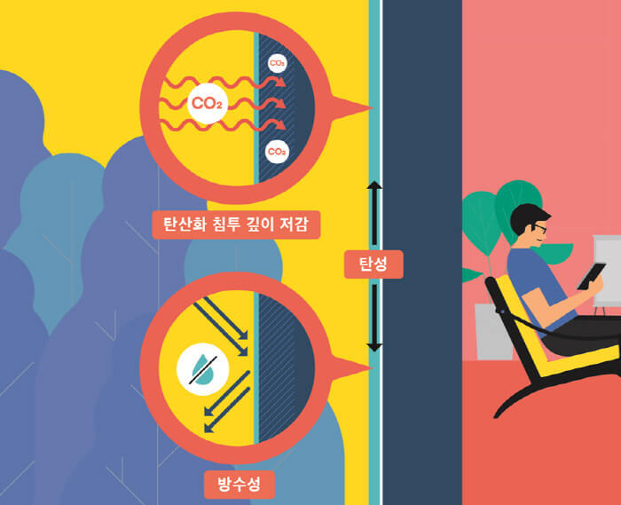 이앤씨케이 이미지