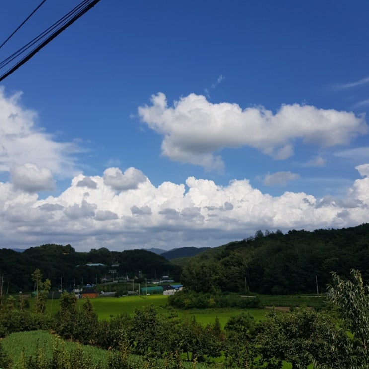 지리산 하늘농원 이미지