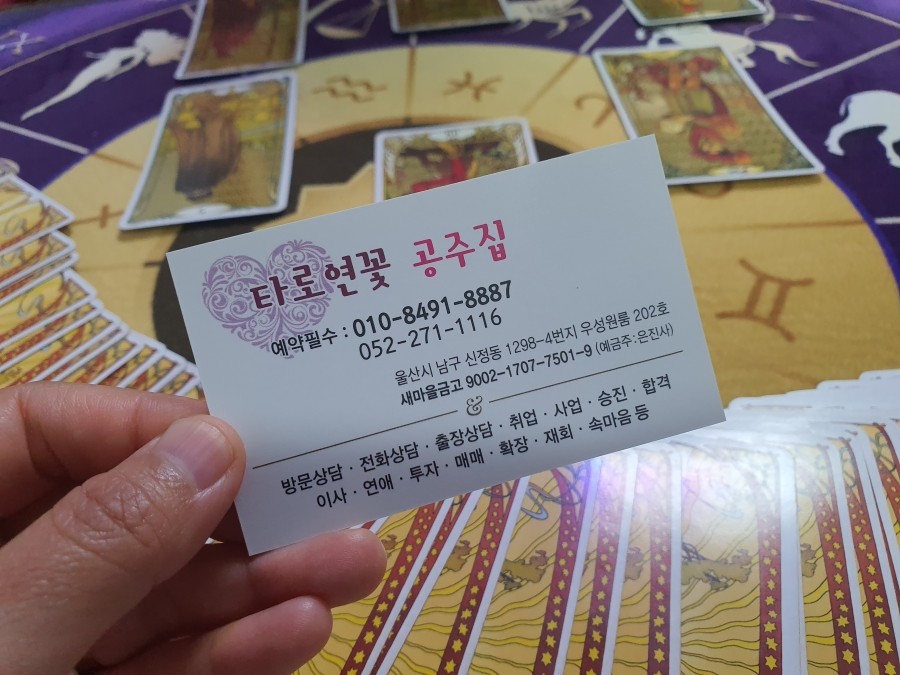 영타코 이미지