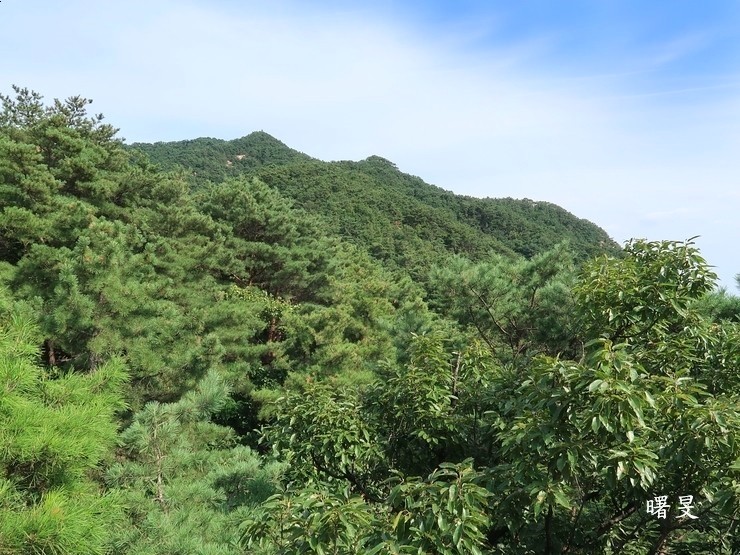 영신다방 이미지
