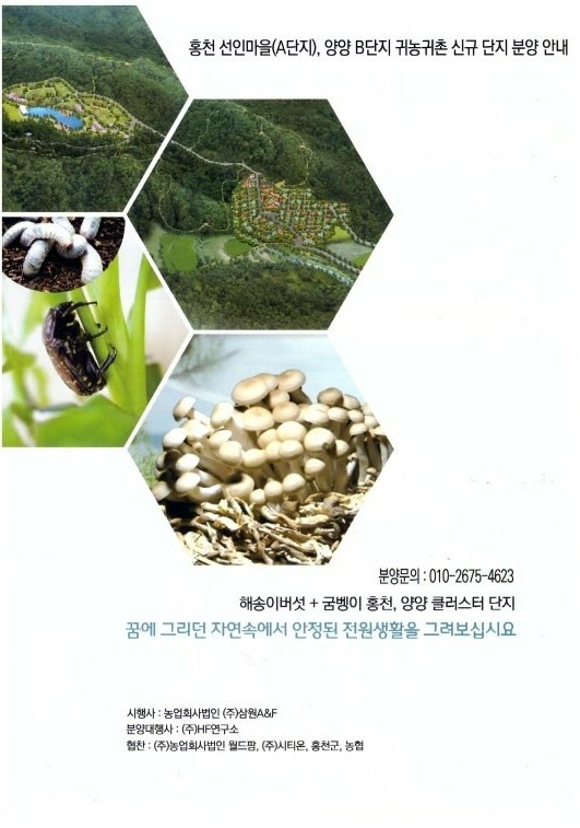 농업회사법인(주)양양 이미지
