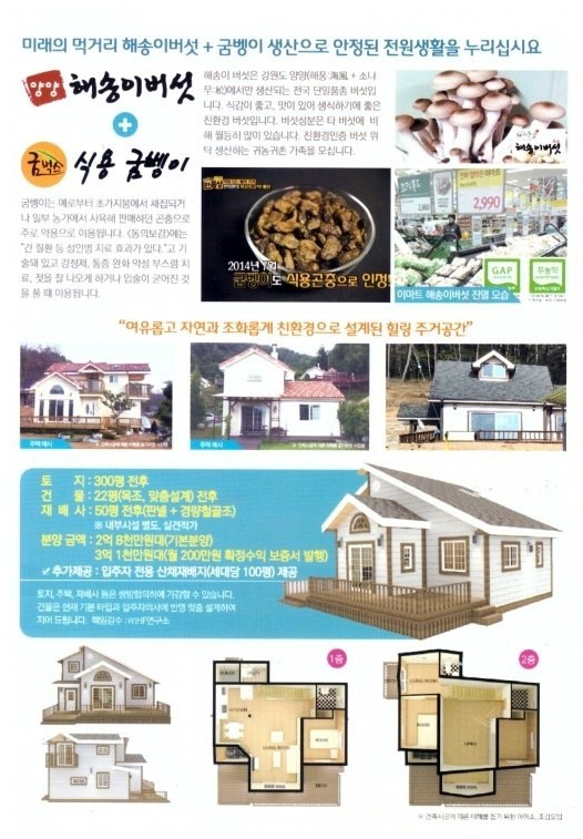 농업회사법인(주)양양 이미지