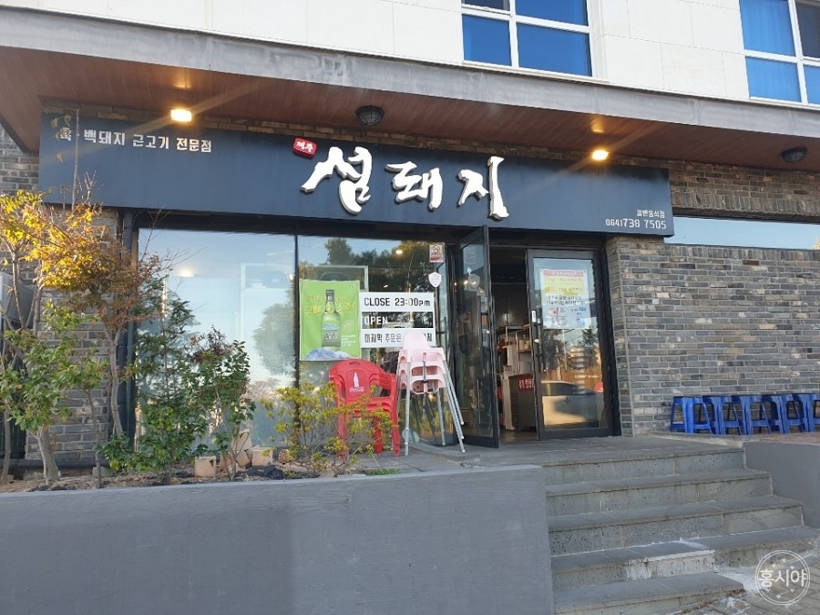 섬돼지 이미지