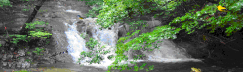 줄.계곡동-3.GIF