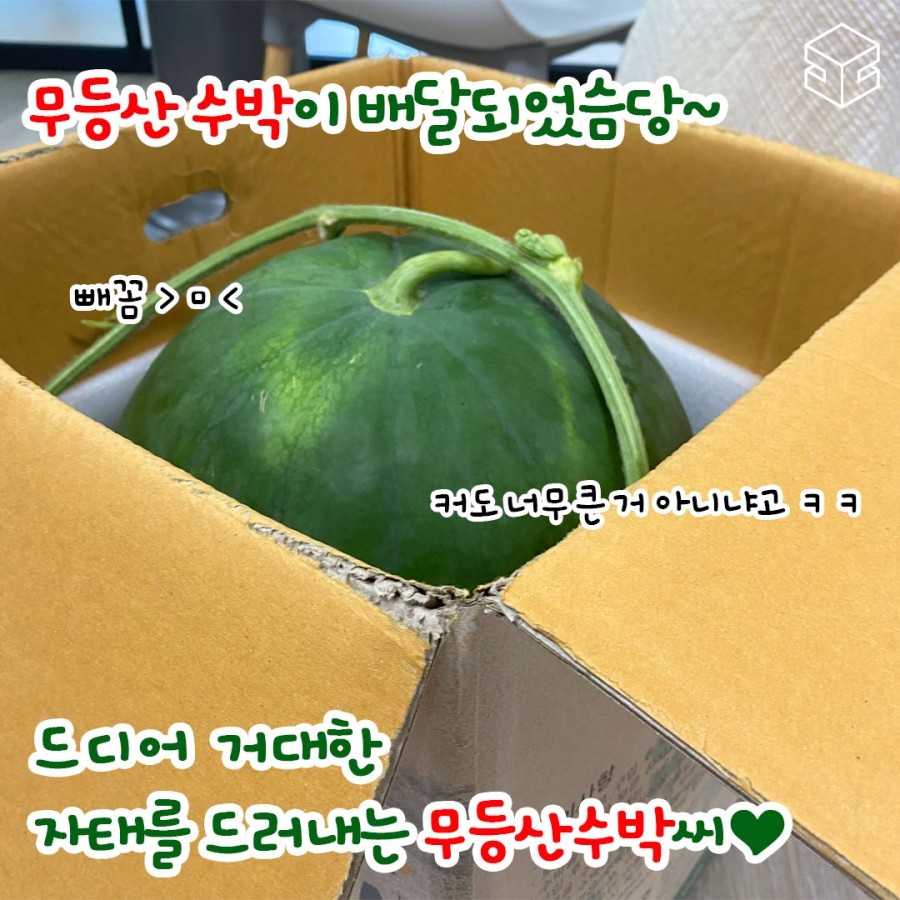 My Image 22