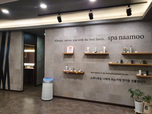 스파나무 이미지