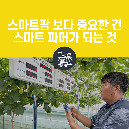 팜파머 이미지