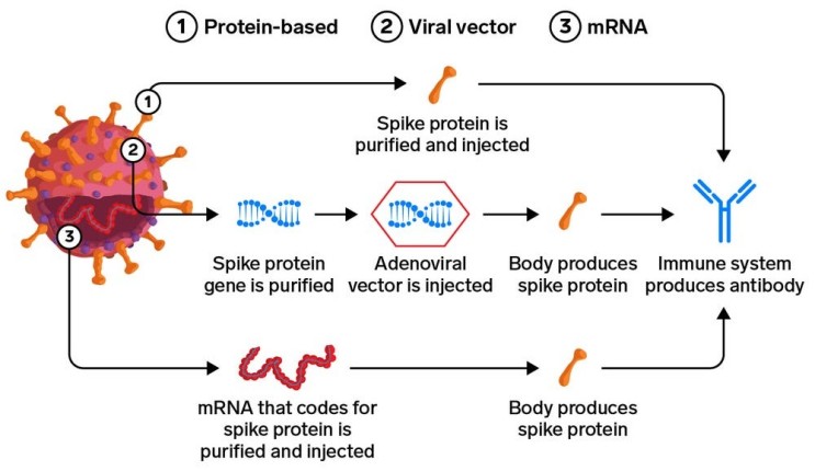 백신 벡터 mRNA·바이럭스벡터 방식…백신도