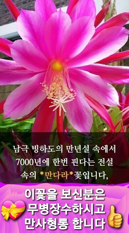 삼구프라자 이미지