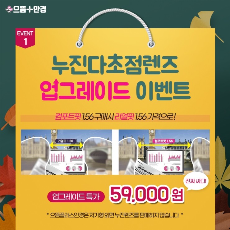 으뜸핏 이미지