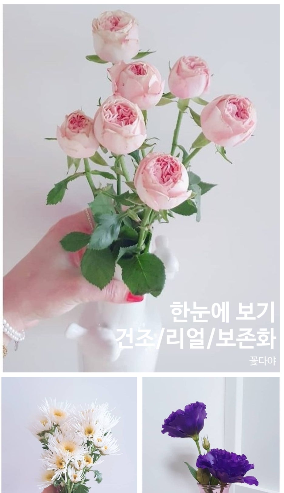 생생플라워 이미지