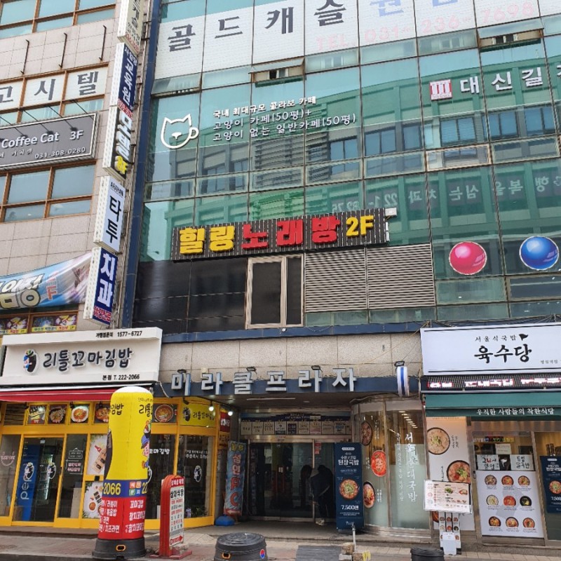 서울폰 이미지