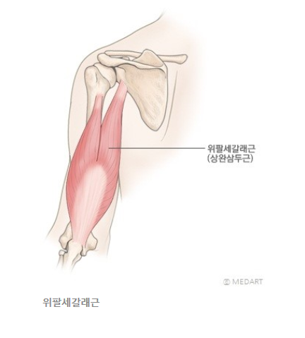 피티일프로 이미지