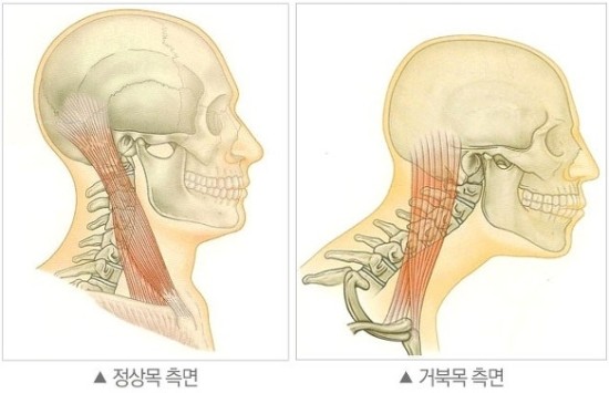 참편한마취통증의학과의원 이미지