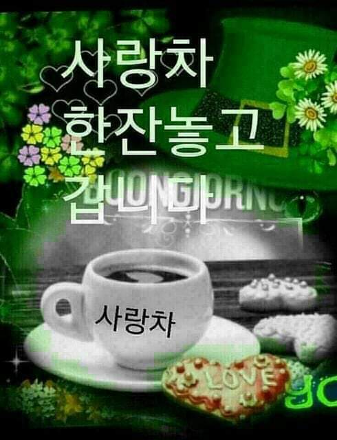 이끼와돌 이미지