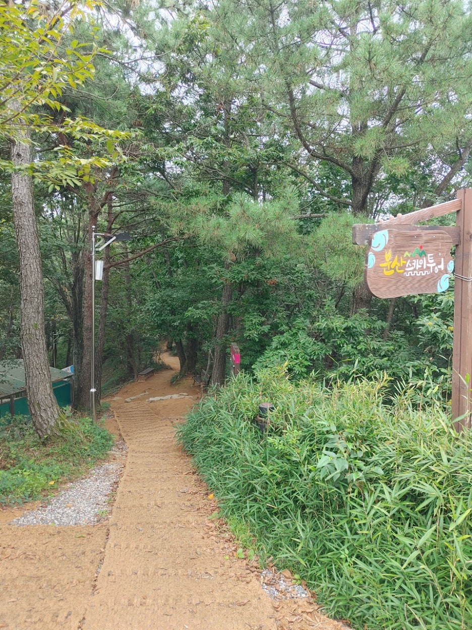 스카이투어 이미지