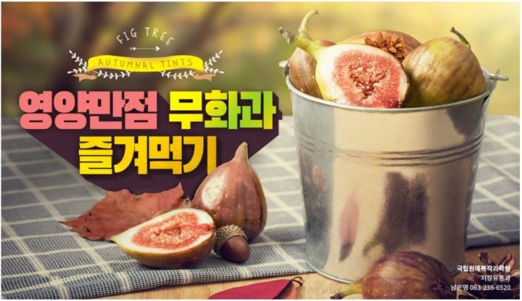 즐겨먹기 이미지