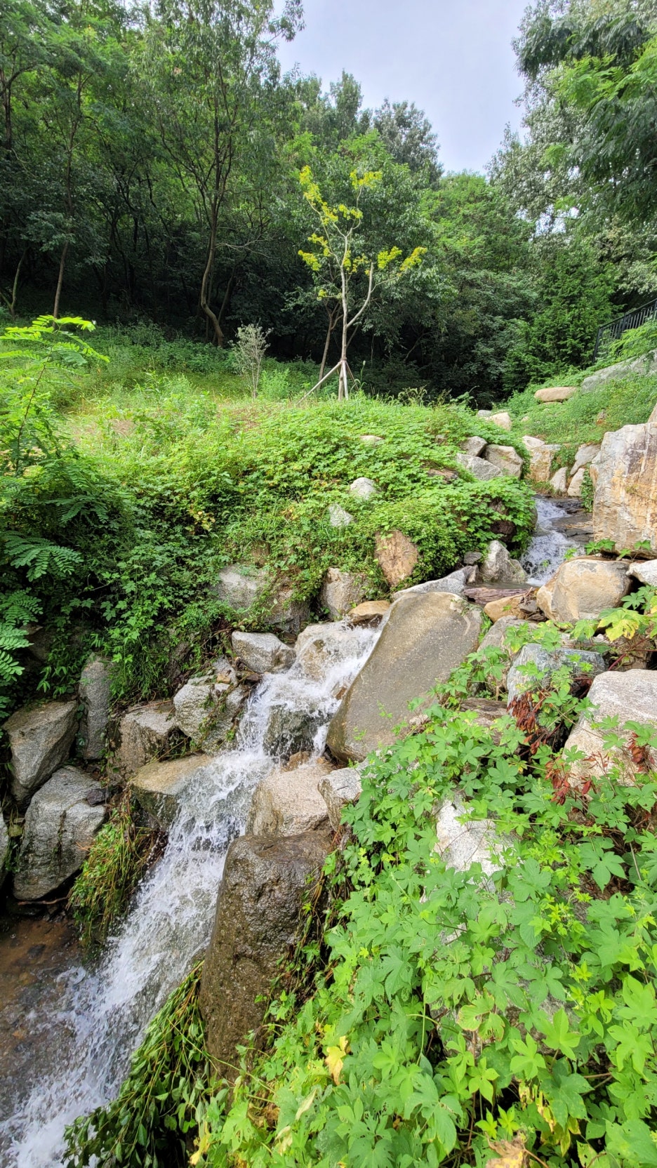 성운환경 이미지