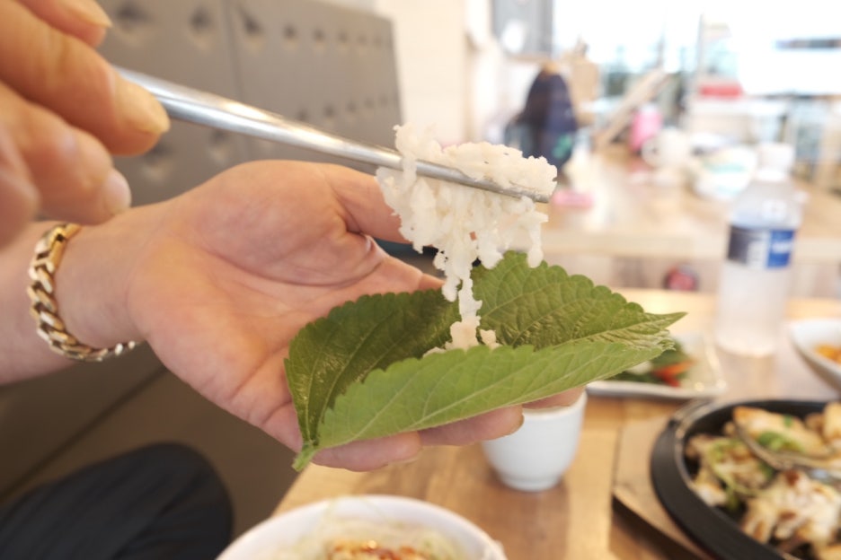 해송칠암붕장어 이미지