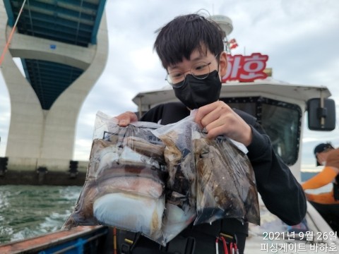 바하호 이미지