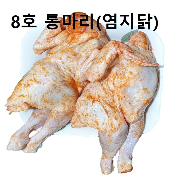전기닭 이미지