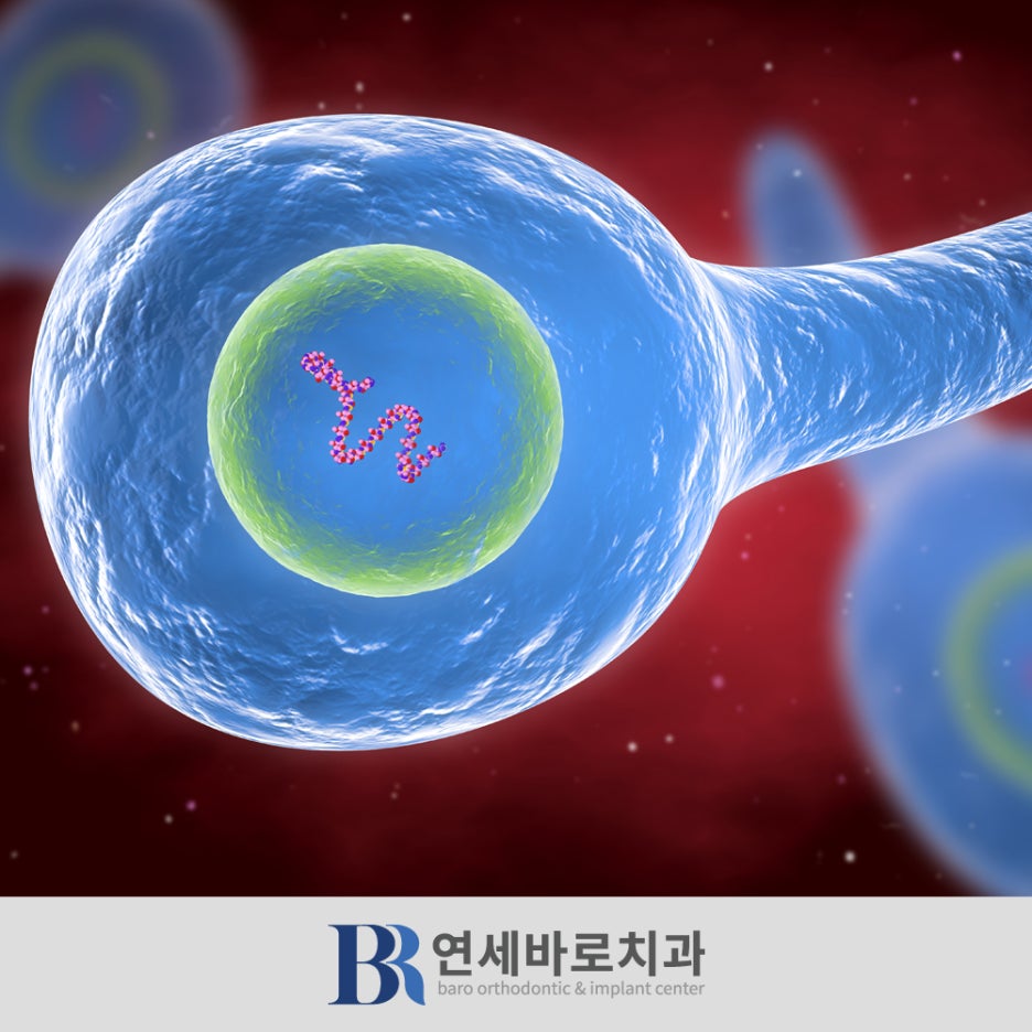 파상풍 주사 부작용과 접종 기간 주기 : 네이버 블로그