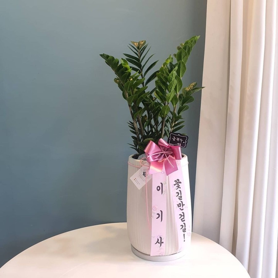 스튜디오올가 이미지