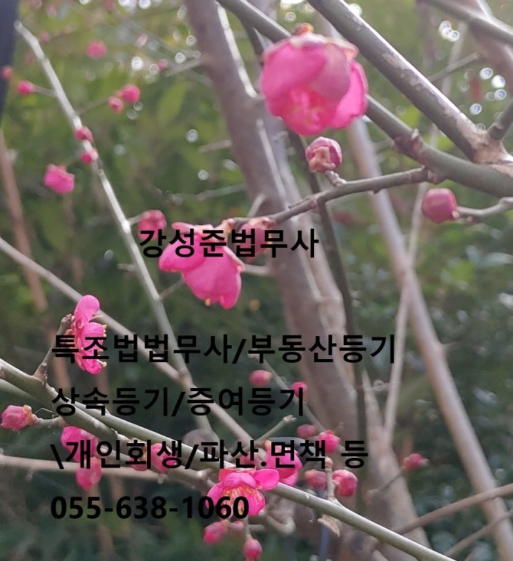 법무사강성준사무소 이미지