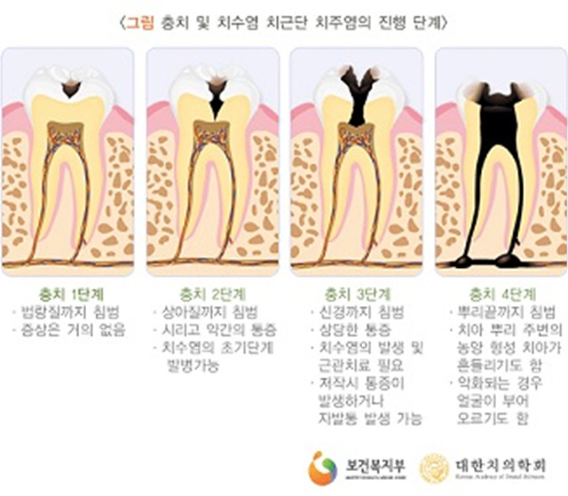 서울테라치과 이미지