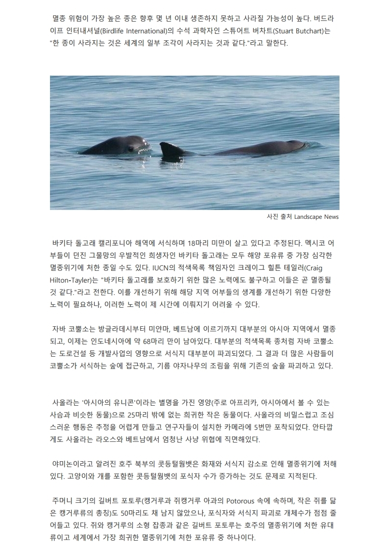 Deer In The Forest - Acrylic Painting, A, 미술작품 Alona Vakhmistrova로 |  ArtMajeur, image size:792x1121