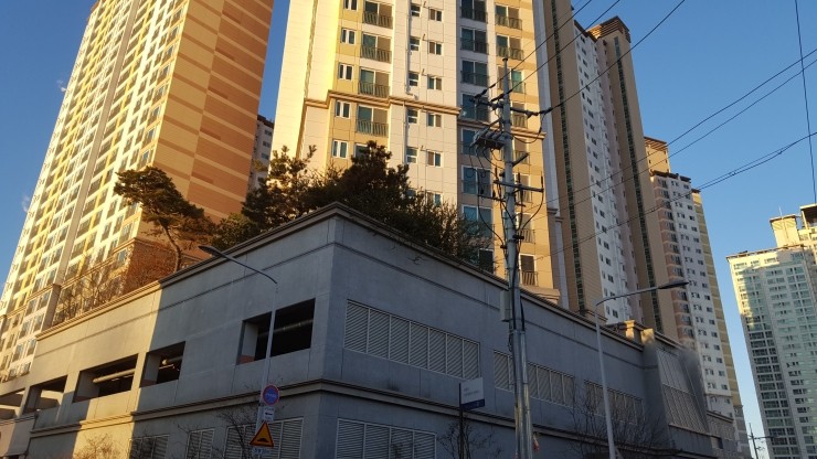 엘리트자동문 이미지
