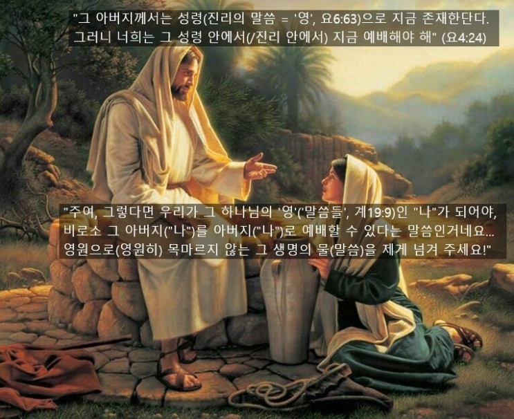 파라칼레오 이미지