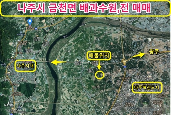 금천면사무소 이미지