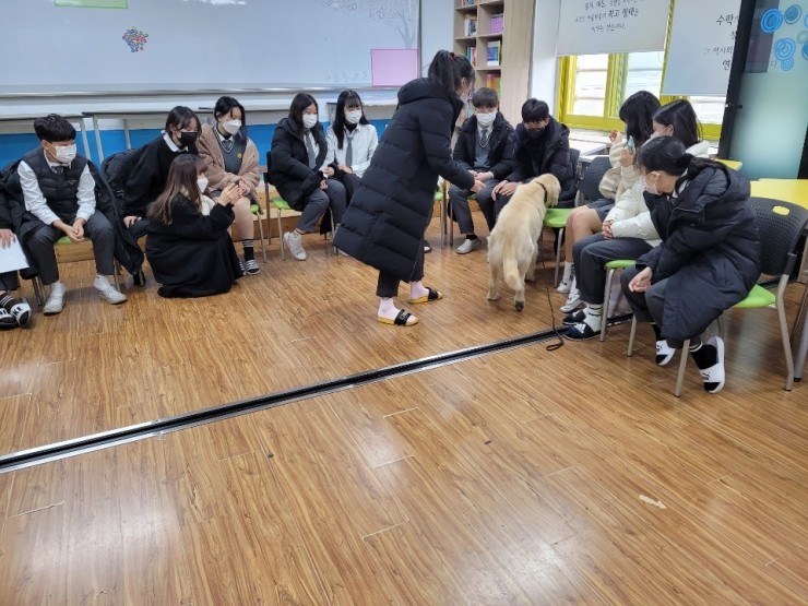 전일중학교 이미지