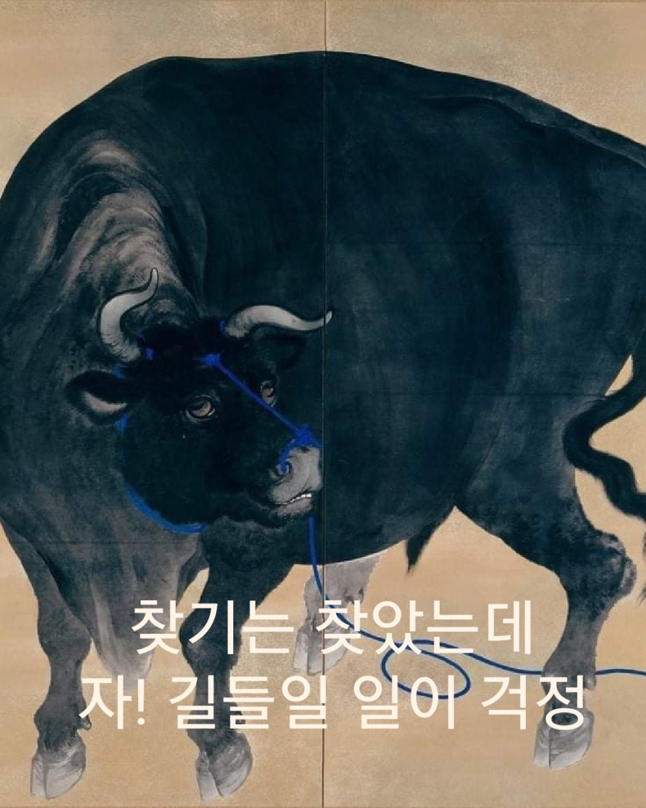 (주)흰소 이미지