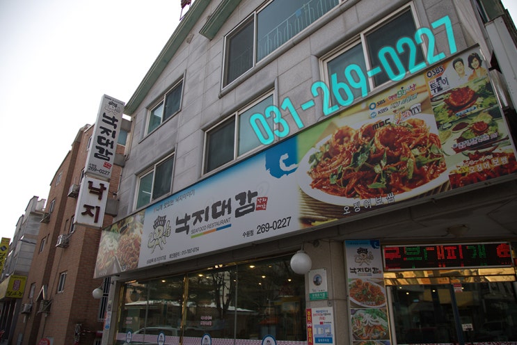 낙지대감 이미지