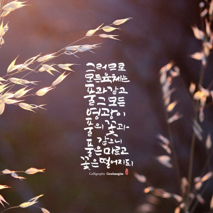 카페베드로 이미지