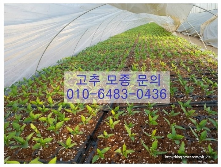동호테크 이미지